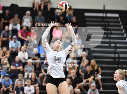 Thumbnail 2 in Rouse @ Vandegrift photogallery.