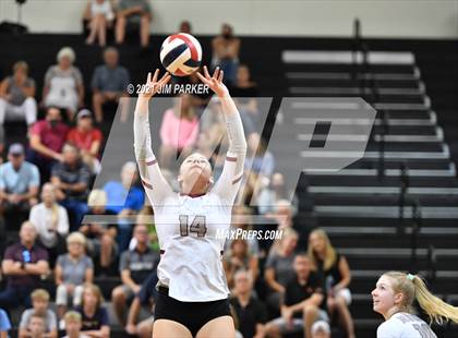 Thumbnail 3 in Rouse @ Vandegrift photogallery.