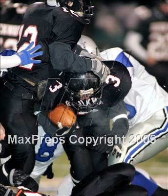 null - Photo 11