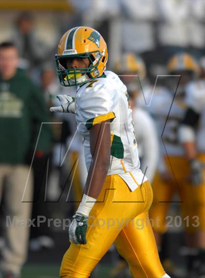 Thumbnail 1 in Stevenson @ Glenbard North (IHSA 8A Second Round Playoff) photogallery.