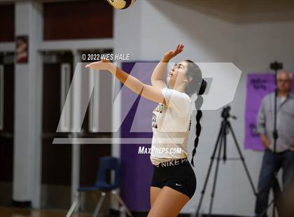 Thumbnail 1 in Hernando @ DeSoto Central photogallery.
