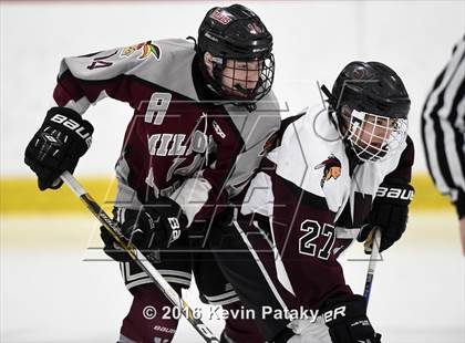 Thumbnail 1 in Milford @ North Haven photogallery.