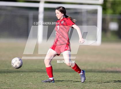 Thumbnail 2 in Charlotte Catholic @ Butler photogallery.