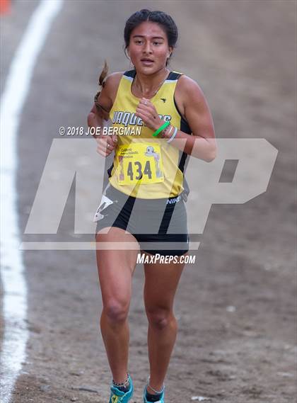 Thumbnail 3 in CIF State Cross Country Championships (Girls D3 Race) photogallery.