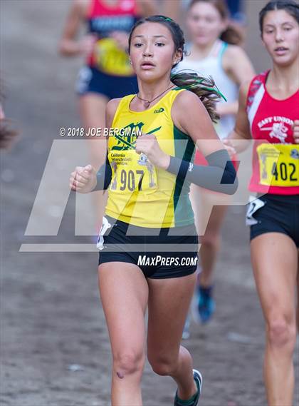 Thumbnail 2 in CIF State Cross Country Championships (Girls D3 Race) photogallery.