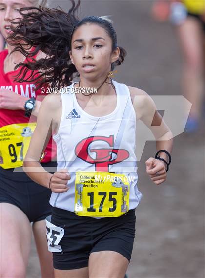 Thumbnail 2 in CIF State Cross Country Championships (Girls D3 Race) photogallery.