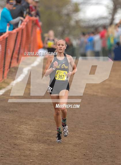 Thumbnail 3 in CIF State Cross Country Championships (Girls D3 Race) photogallery.