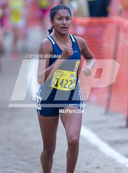 Thumbnail 3 in CIF State Cross Country Championships (Girls D3 Race) photogallery.