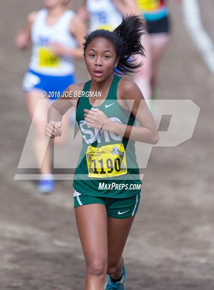 Thumbnail 1 in CIF State Cross Country Championships (Girls D3 Race) photogallery.