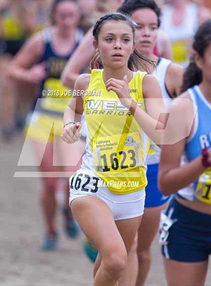 Thumbnail 1 in CIF State Cross Country Championships (Girls D3 Race) photogallery.