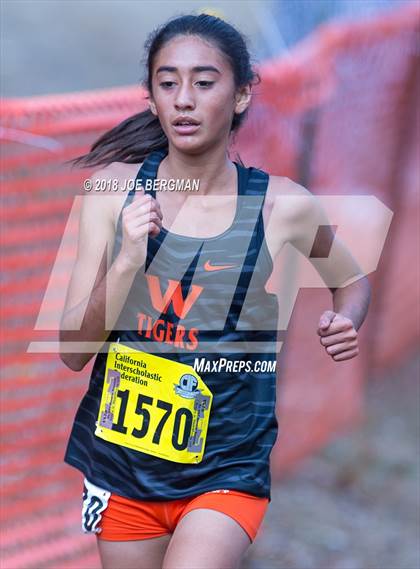 Thumbnail 3 in CIF State Cross Country Championships (Girls D3 Race) photogallery.