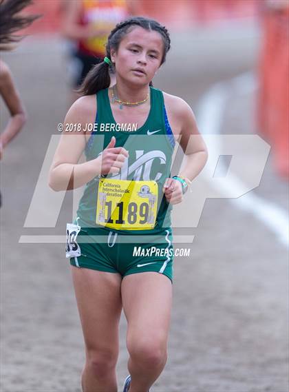 Thumbnail 2 in CIF State Cross Country Championships (Girls D3 Race) photogallery.