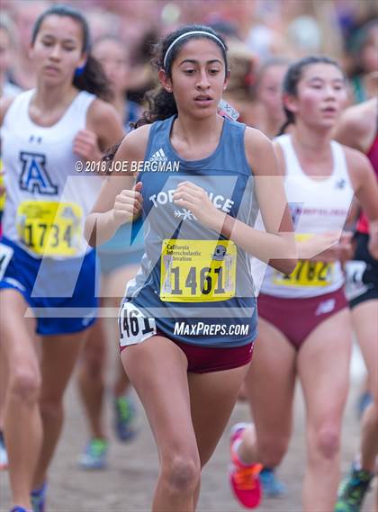 Thumbnail 3 in CIF State Cross Country Championships (Girls D3 Race) photogallery.