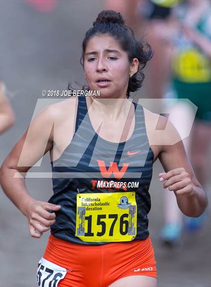 Thumbnail 1 in CIF State Cross Country Championships (Girls D3 Race) photogallery.