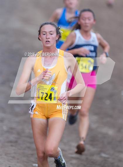 Thumbnail 1 in CIF State Cross Country Championships (Girls D3 Race) photogallery.