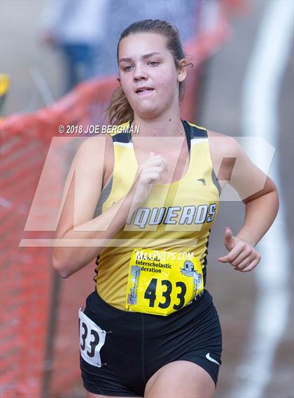 Thumbnail 3 in CIF State Cross Country Championships (Girls D3 Race) photogallery.