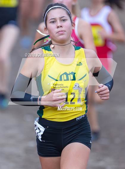 Thumbnail 1 in CIF State Cross Country Championships (Girls D3 Race) photogallery.