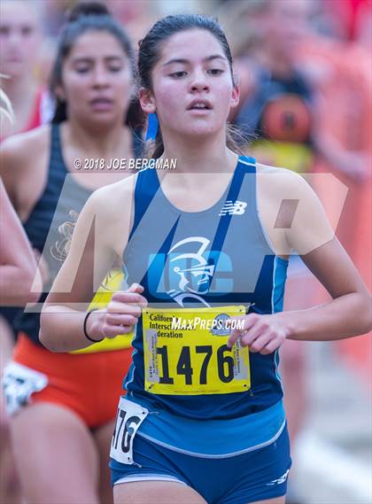 Thumbnail 3 in CIF State Cross Country Championships (Girls D3 Race) photogallery.