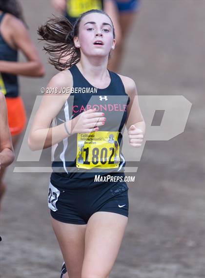 Thumbnail 1 in CIF State Cross Country Championships (Girls D3 Race) photogallery.