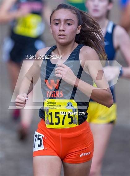 Thumbnail 2 in CIF State Cross Country Championships (Girls D3 Race) photogallery.