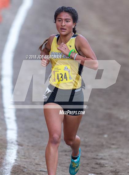 Thumbnail 1 in CIF State Cross Country Championships (Girls D3 Race) photogallery.