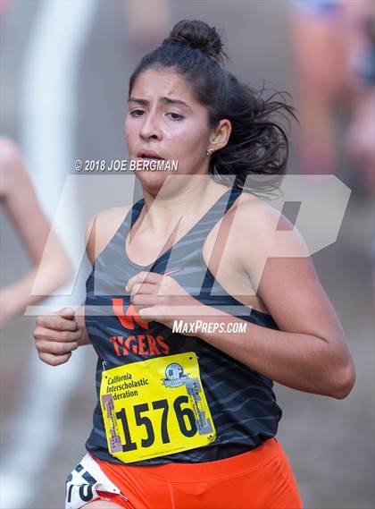 Thumbnail 2 in CIF State Cross Country Championships (Girls D3 Race) photogallery.