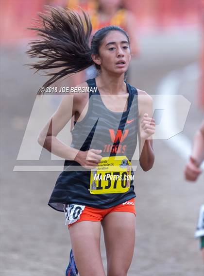 Thumbnail 1 in CIF State Cross Country Championships (Girls D3 Race) photogallery.
