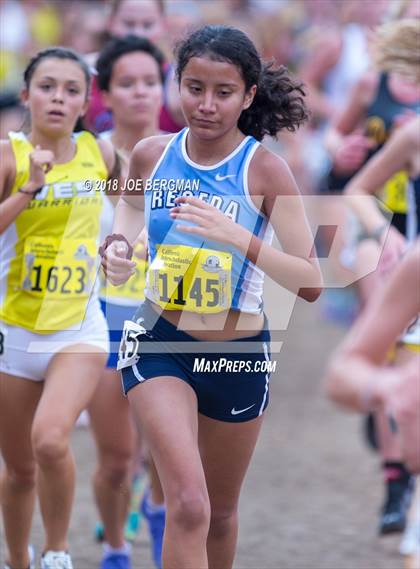 Thumbnail 1 in CIF State Cross Country Championships (Girls D3 Race) photogallery.