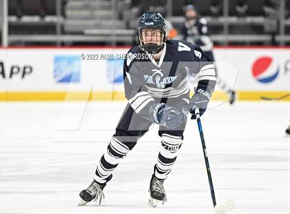 Thumbnail 1 in Denver East vs. Valor Christian (CHSAA 5A State Final Game) photogallery.