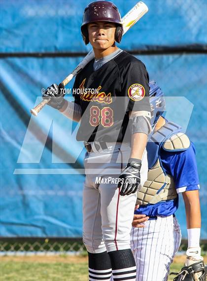 Thumbnail 1 in Los Altos vs Arcadia photogallery.
