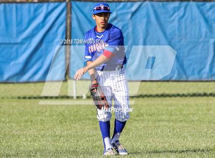 Thumbnail 3 in Los Altos vs Arcadia photogallery.
