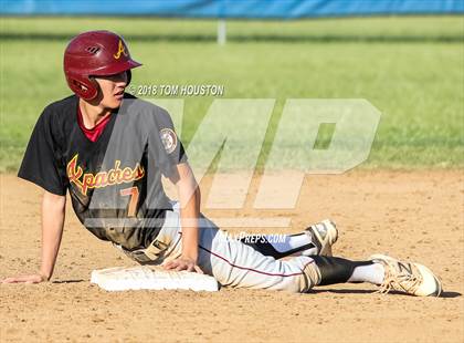 Thumbnail 2 in Los Altos vs Arcadia photogallery.