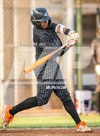 Photo from the gallery "Orange @ Segerstrom"