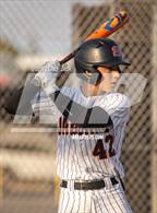 Photo from the gallery "Orange @ Segerstrom"