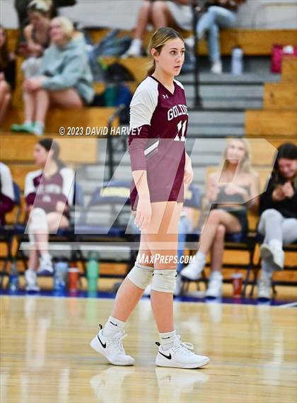 Thumbnail 3 in Golden vs Wheat Ridge photogallery.