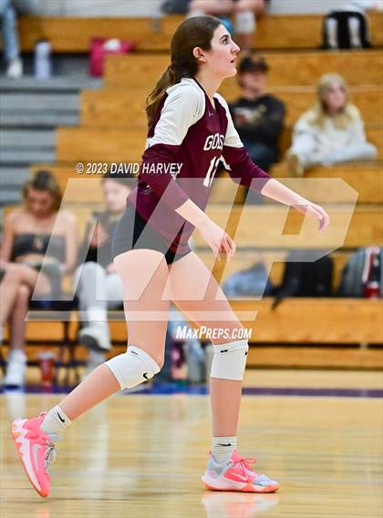 Thumbnail 2 in Golden vs Wheat Ridge photogallery.
