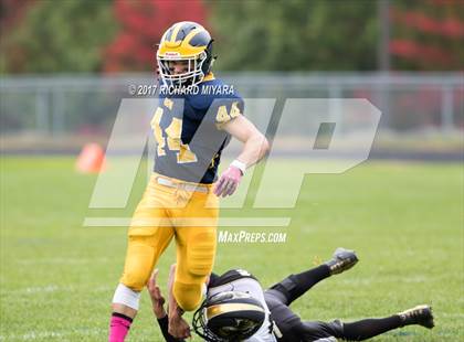 Thumbnail 1 in Kennett @ Bow photogallery.