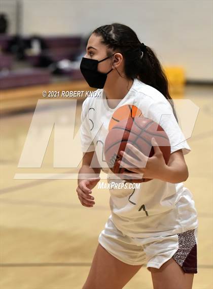 Thumbnail 2 in Basha @ Hamilton photogallery.