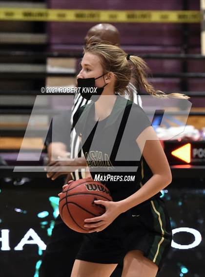 Thumbnail 1 in Basha @ Hamilton photogallery.