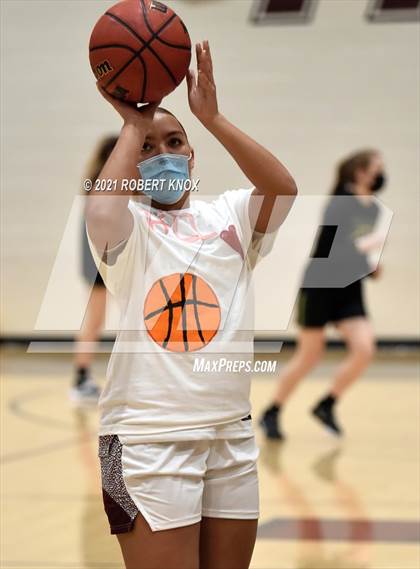 Thumbnail 2 in Basha @ Hamilton photogallery.