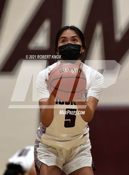 Thumbnail 2 in Basha @ Hamilton photogallery.
