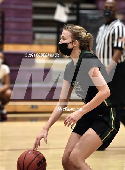 Thumbnail 2 in Basha @ Hamilton photogallery.