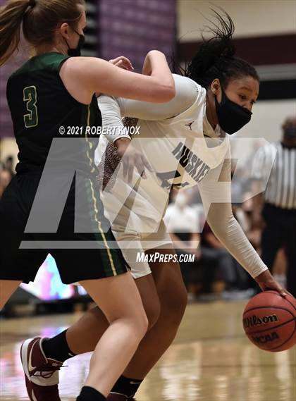 Thumbnail 2 in Basha @ Hamilton photogallery.