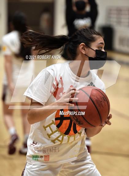 Thumbnail 2 in Basha @ Hamilton photogallery.
