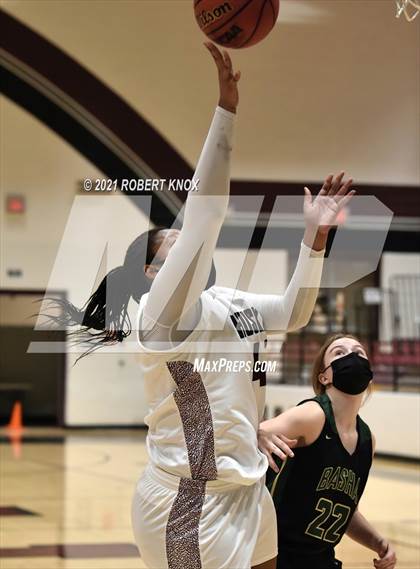 Thumbnail 3 in Basha @ Hamilton photogallery.