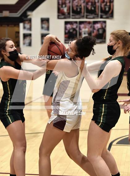 Thumbnail 3 in Basha @ Hamilton photogallery.