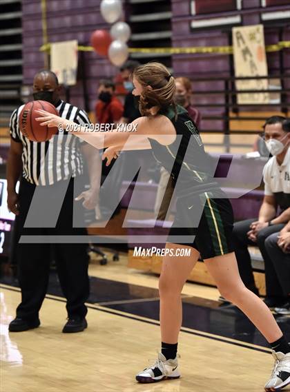 Thumbnail 3 in Basha @ Hamilton photogallery.