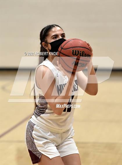 Thumbnail 3 in Basha @ Hamilton photogallery.