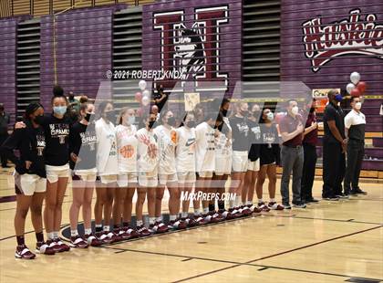 Thumbnail 3 in Basha @ Hamilton photogallery.