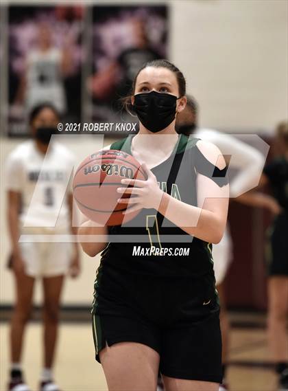 Thumbnail 2 in Basha @ Hamilton photogallery.